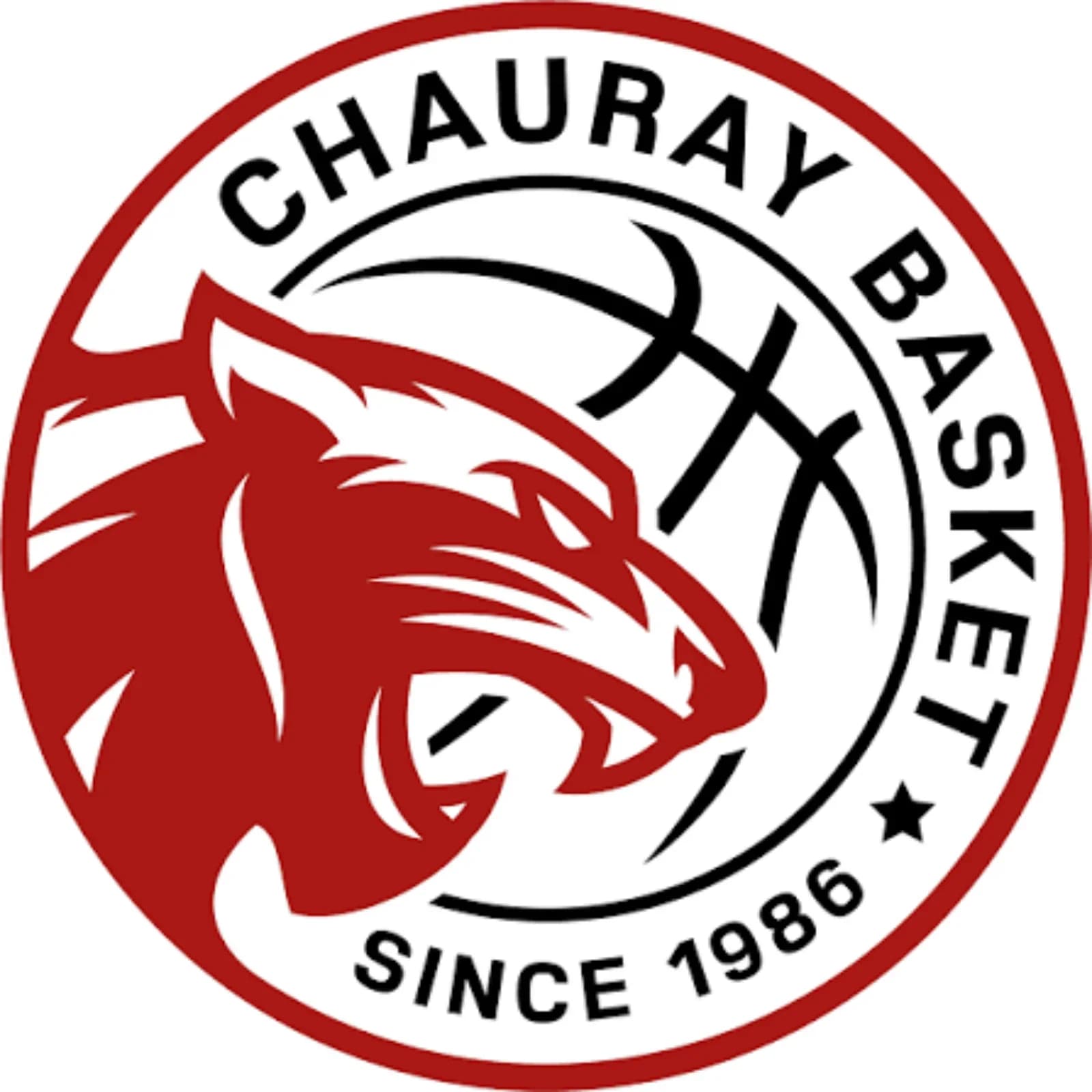 Logo Chauray Basket