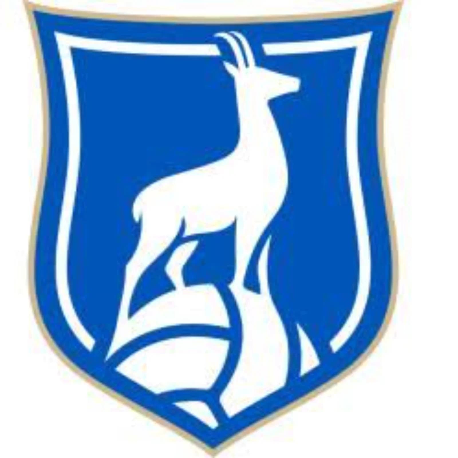 Logo Chamois Niortais Saint-Flo