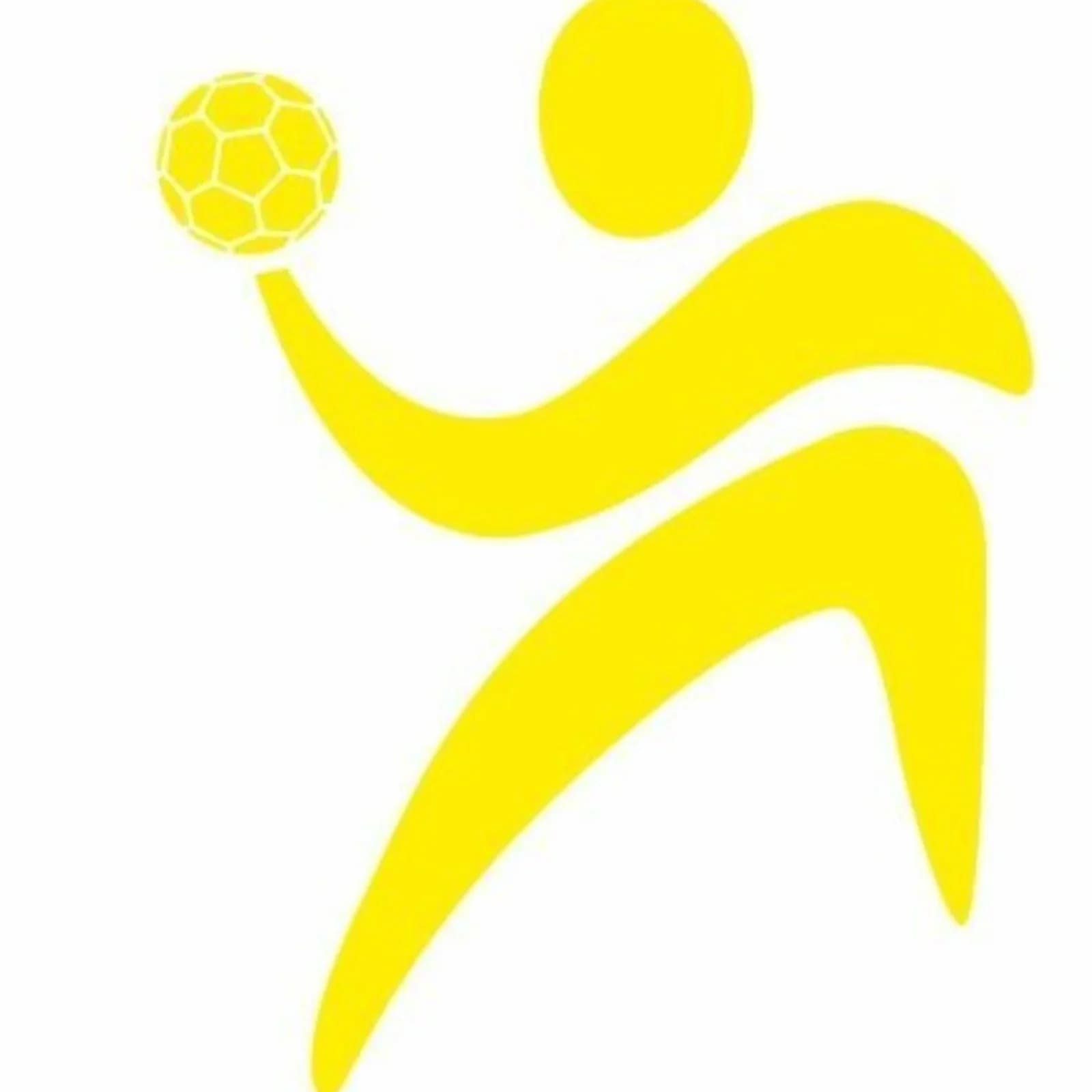 Logo LA FERRIERE VENDEE HANDBALL